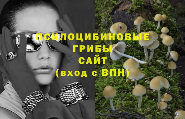 прущие крисы Горнозаводск