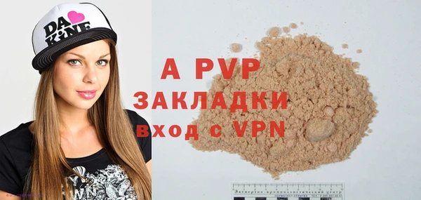 ПСИЛОЦИБИНОВЫЕ ГРИБЫ Вязьма