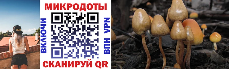 Псилоцибиновые грибы мухоморы  где можно купить наркотик  KRAKEN tor  Зеленоградск 